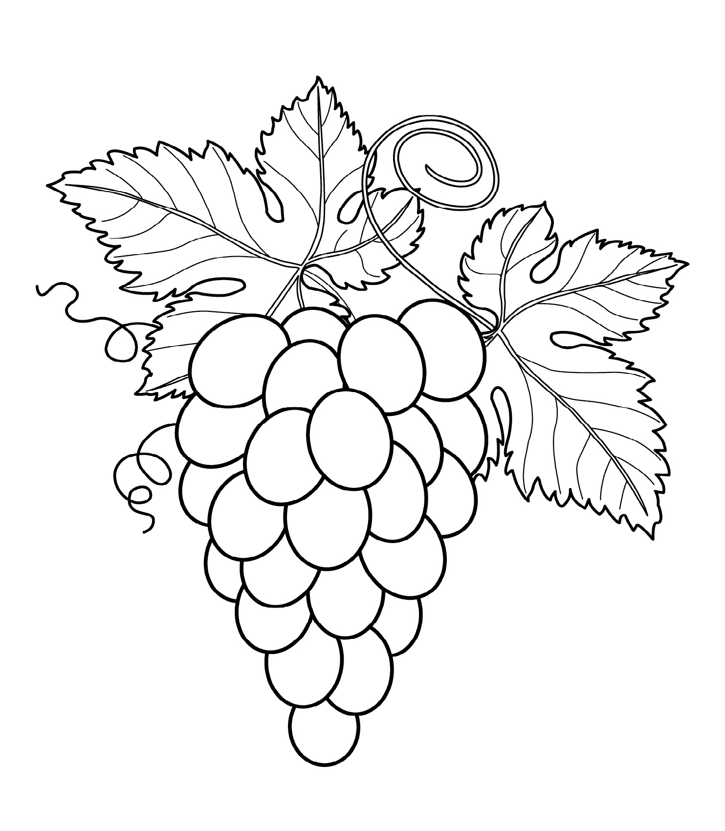 Grapes With Leaf Coloring Page
