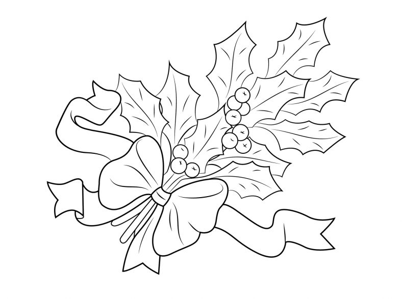 Holly Leaf Coloring Page