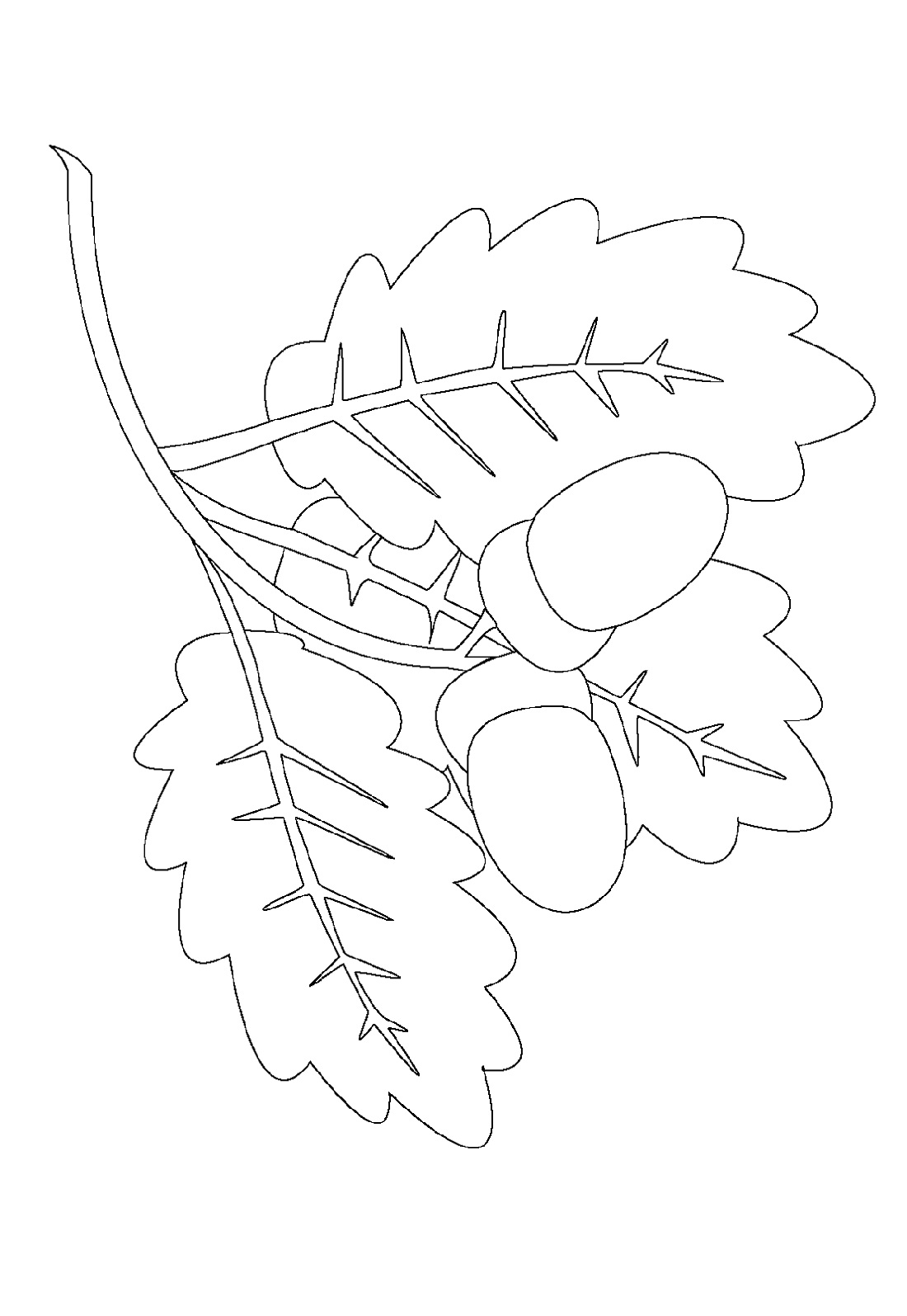 Leaf Coloring Page for Kids