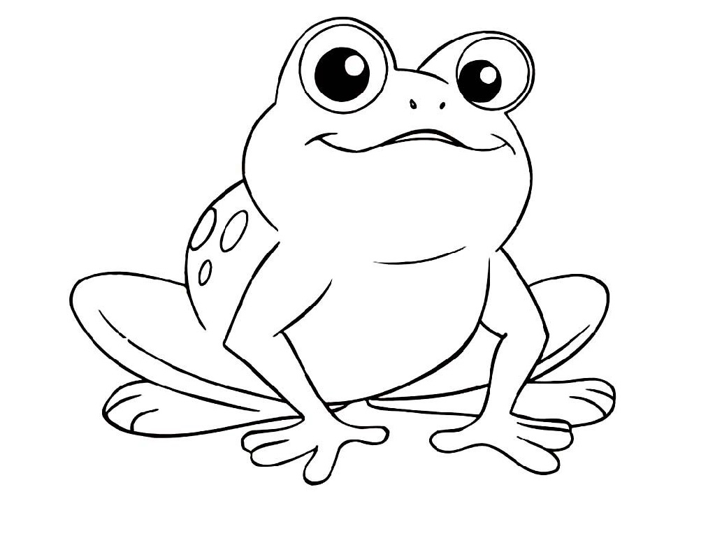 Frog Color Sheet for Kids