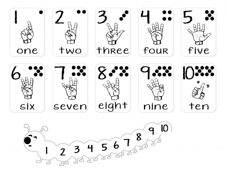 Number and Alphabet Sign Language Charts 101 Activity