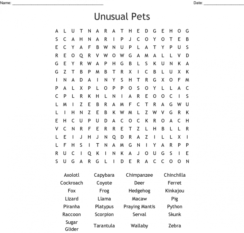 fun pet word search