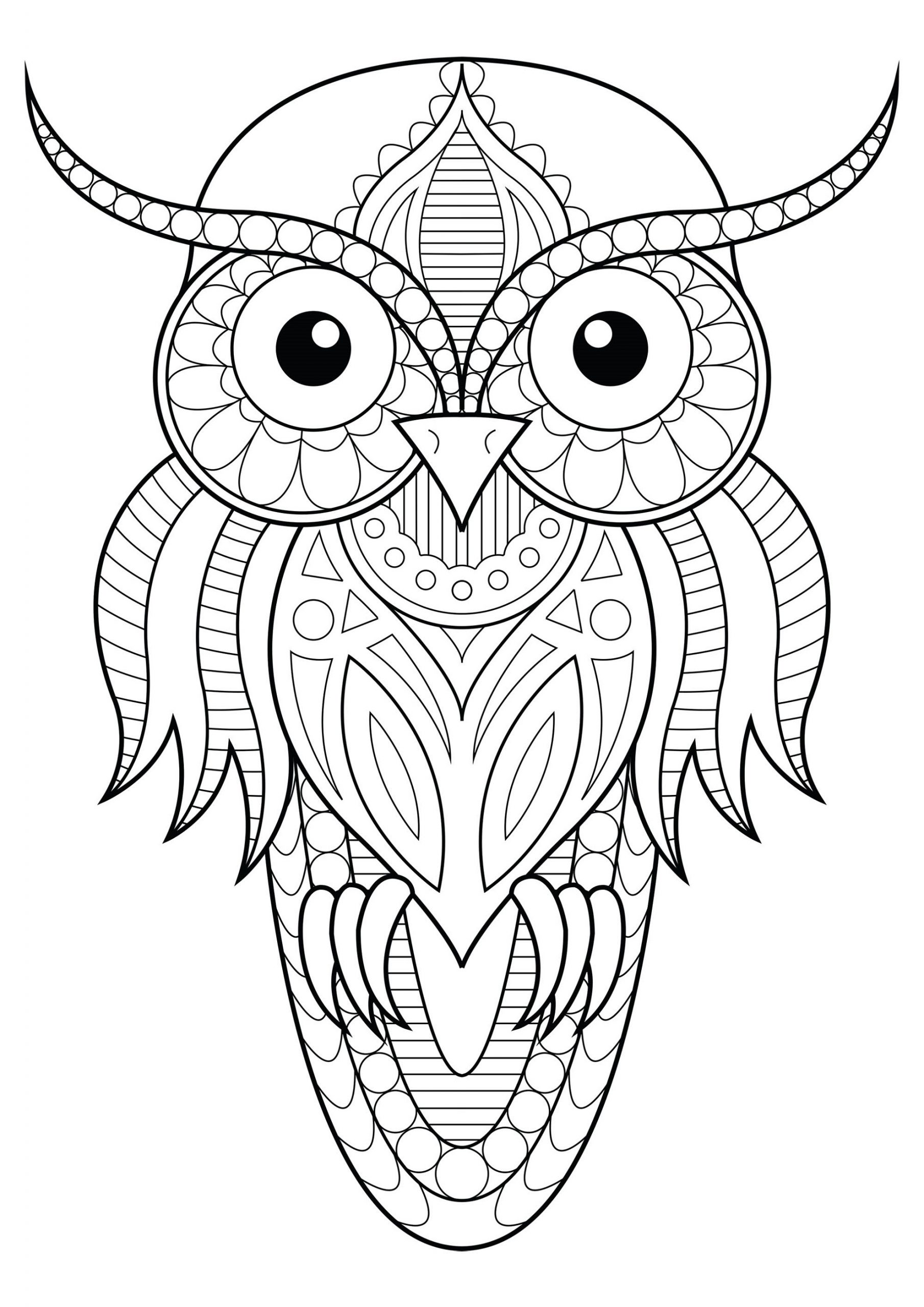 Owl Easy Coloring Pages For Seniors