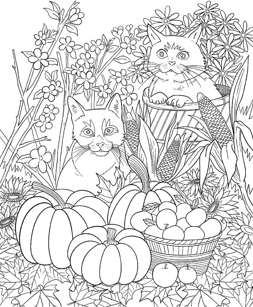 Drawing Seasons Coloring Pages