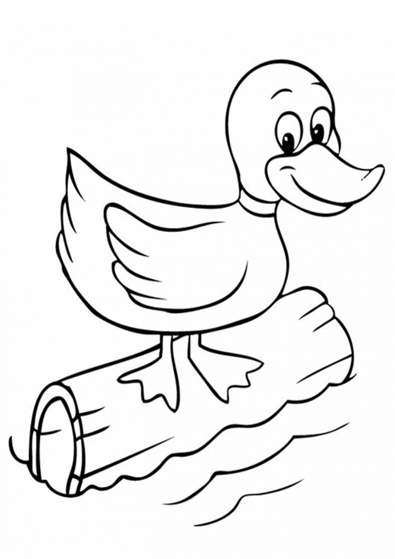 Duck Easy Coloring Pictures