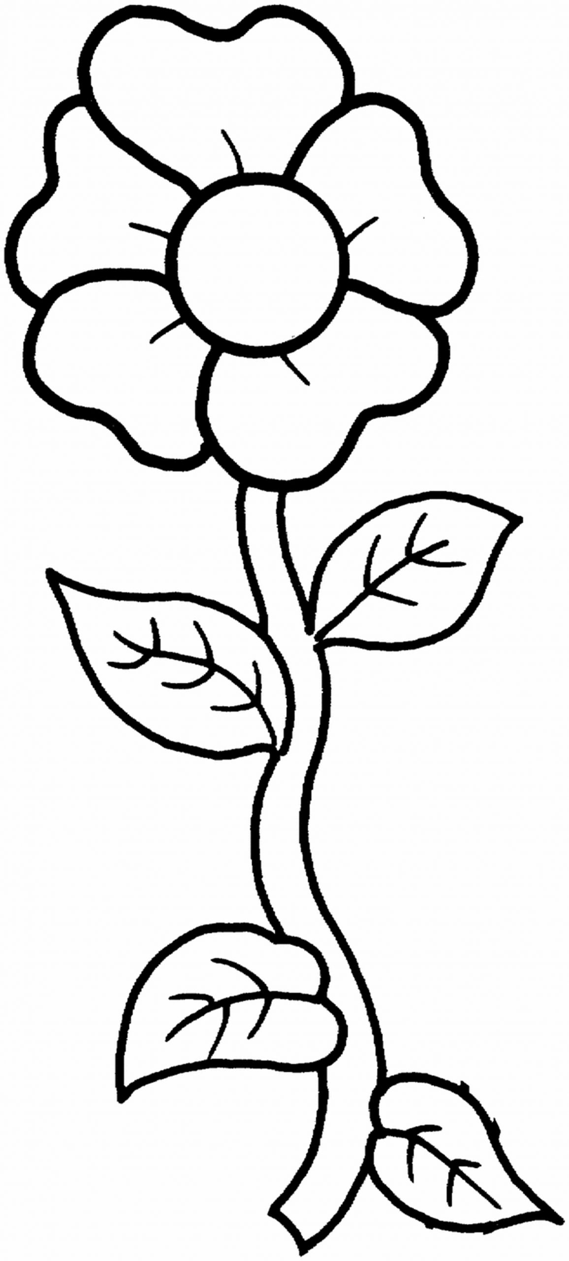 Flower Easy Coloring Pictures