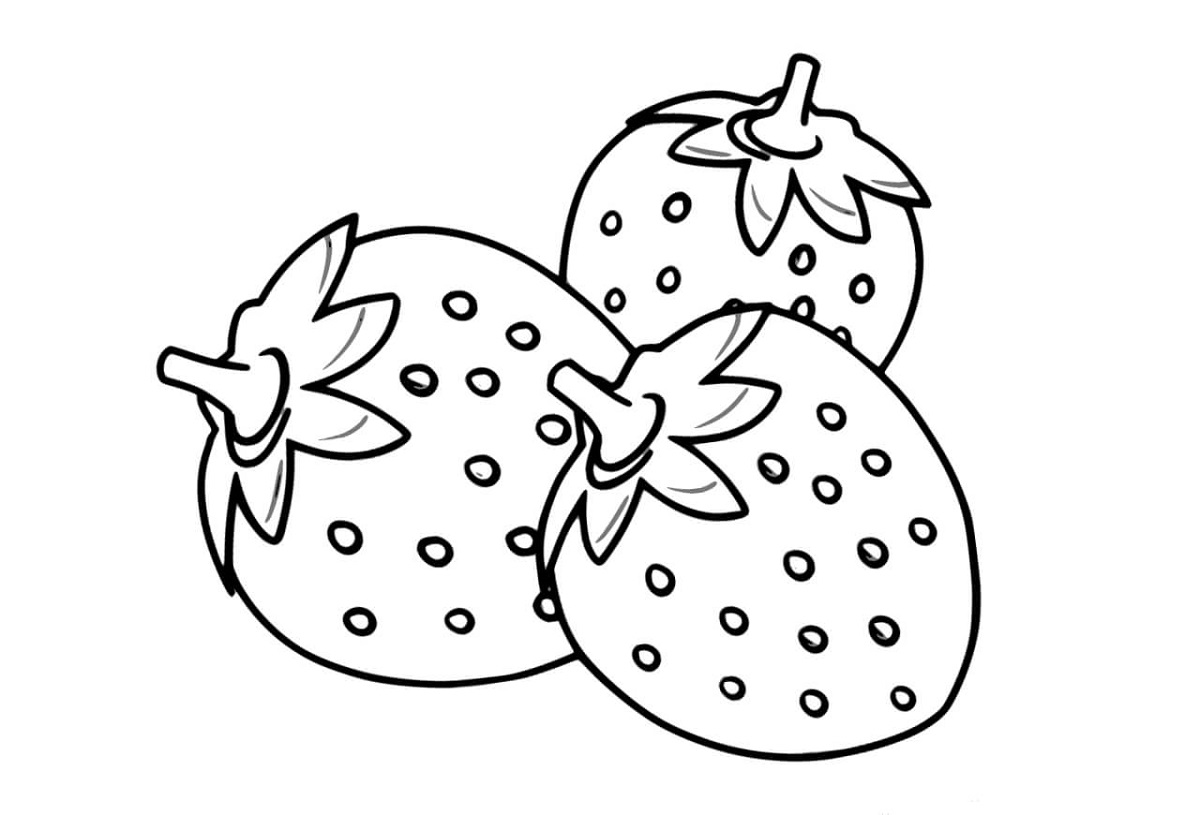 Strawberry Easy Coloring Pictures