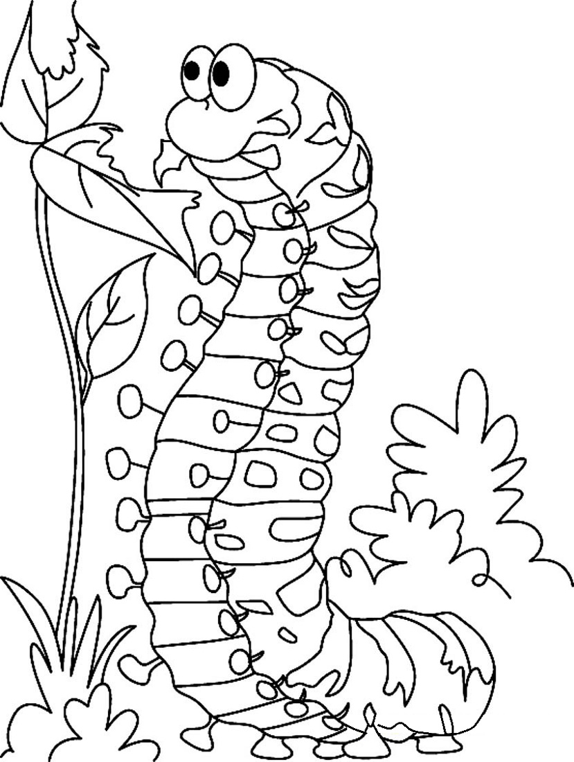 Free Hungry Caterpillar Coloring Page