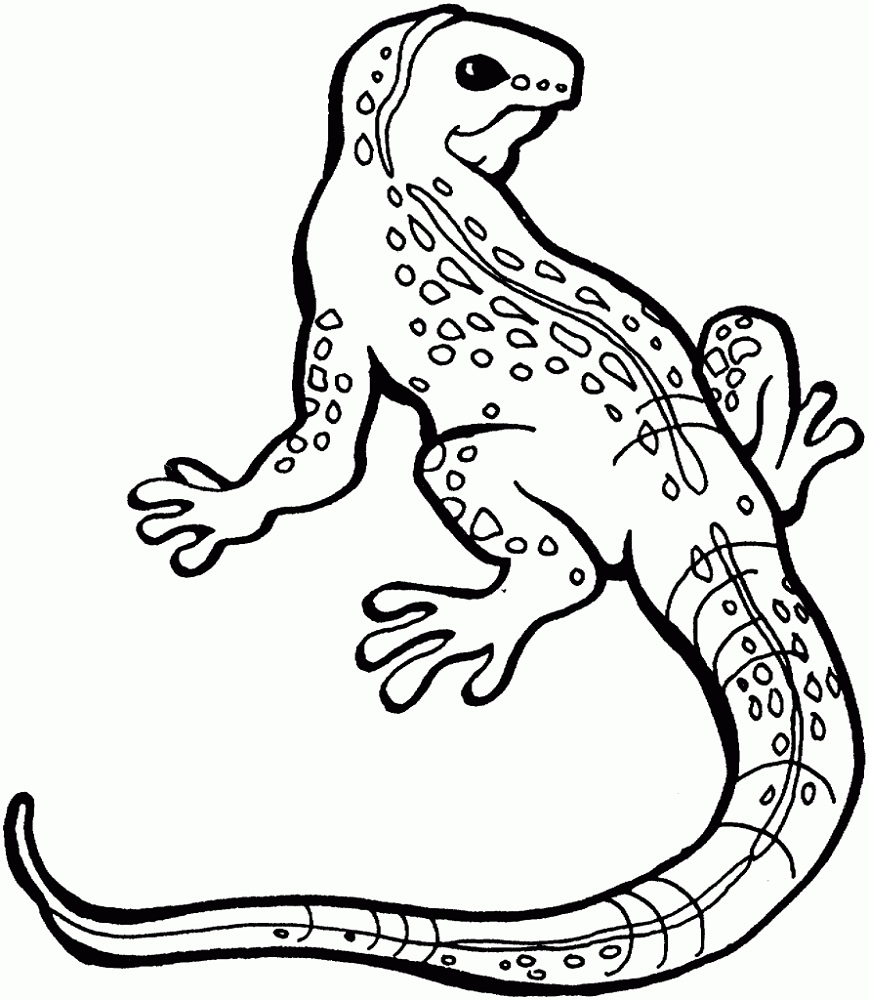 Free Komodo Dragon Coloring Page
