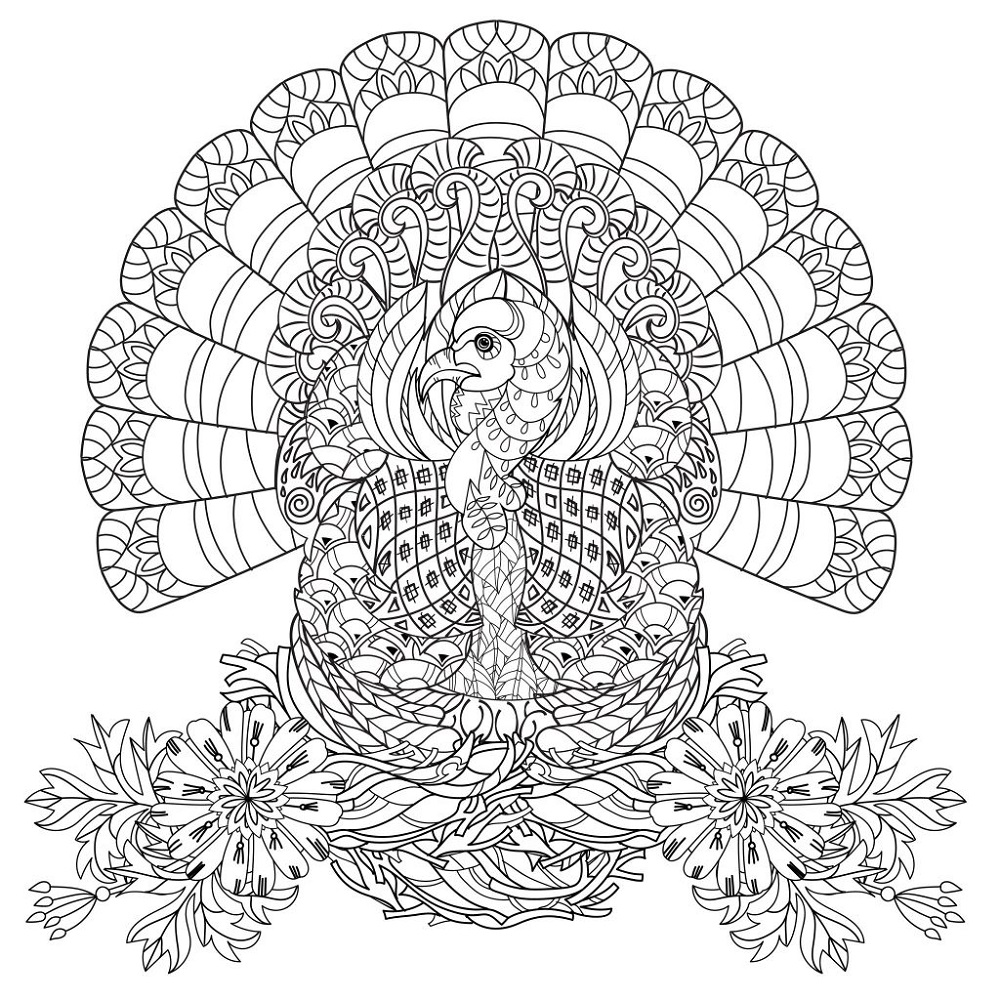 Free Turkey Coloring Pages for Adult