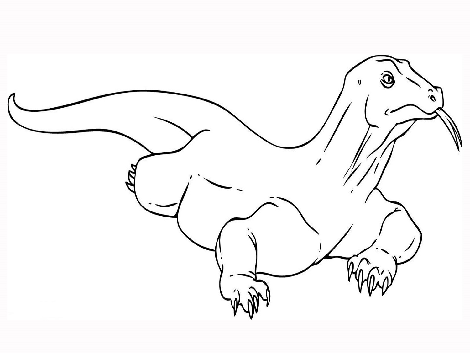 Komodo Dragon Coloring Page Pictures